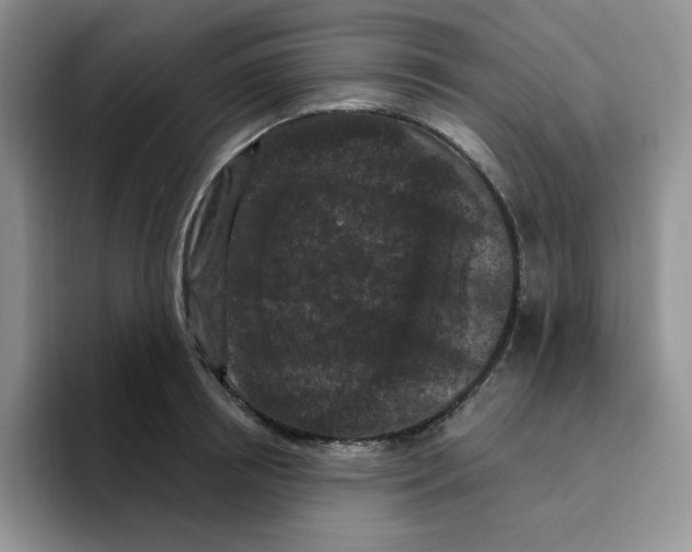 X0000096410850200802211224