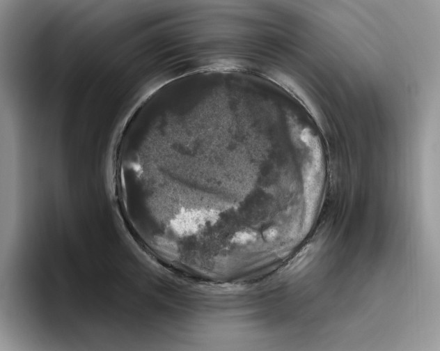 X0000096410851200802211224
