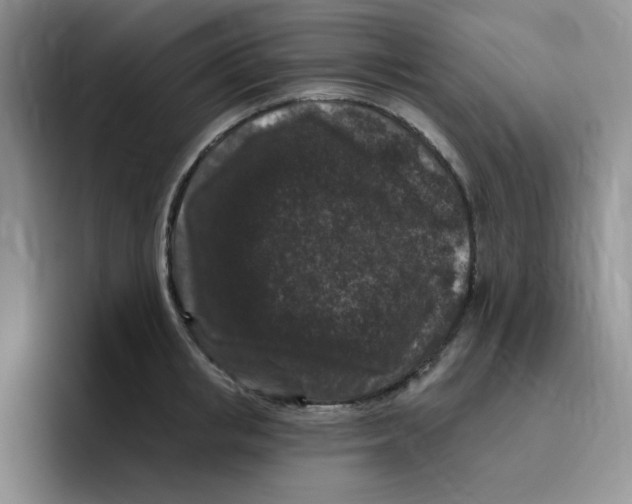 X0000096410853200802211224