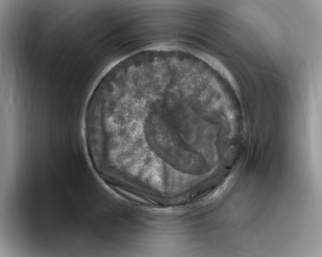 X0000096410855200802211224