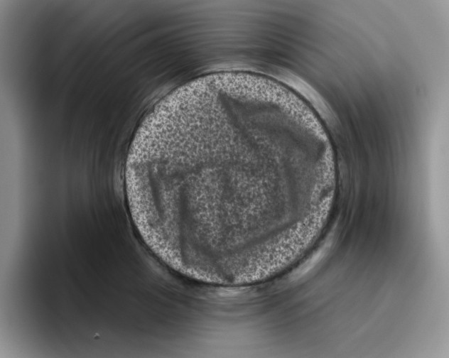 X0000096410857200802211224