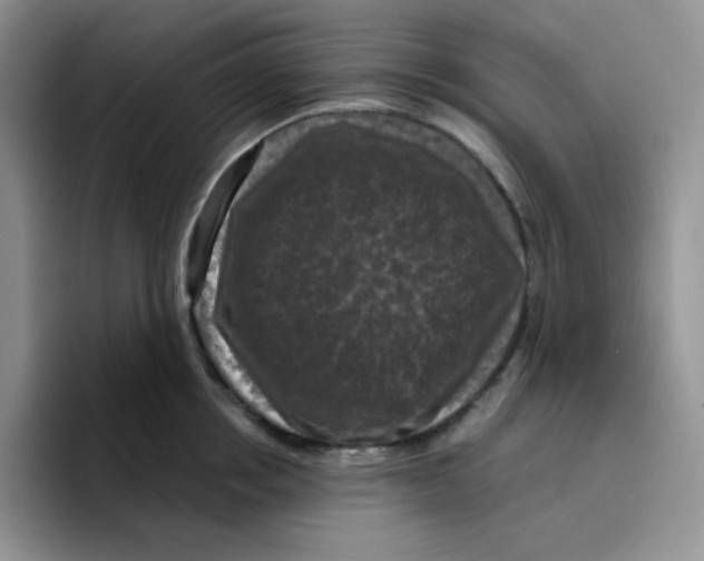 X0000096410858200802211224