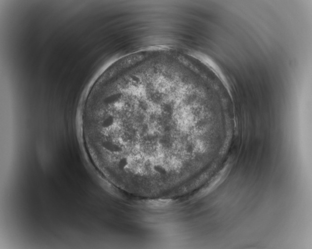 X0000096410859200802211224