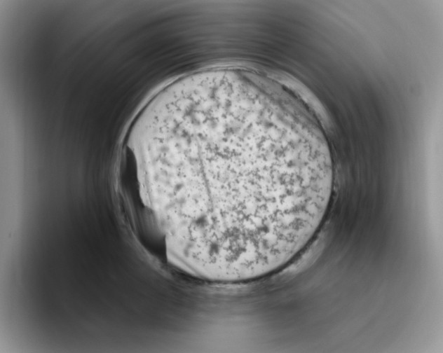 X0000096410860200802211224