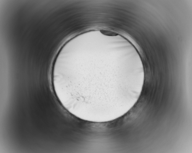 X0000096410861200802211224