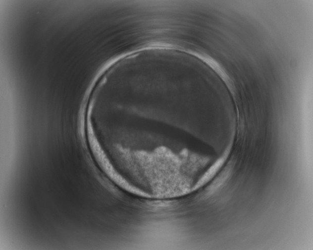 X0000096410862200802211224