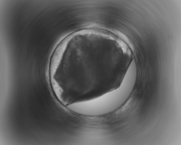 X0000096410863200802211224