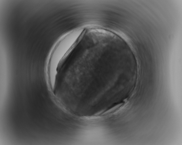 X0000096410864200802211224