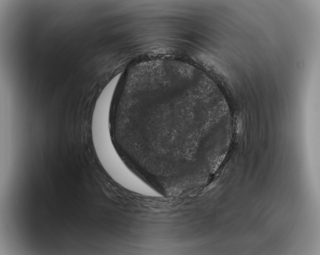 X0000096410868200802211223