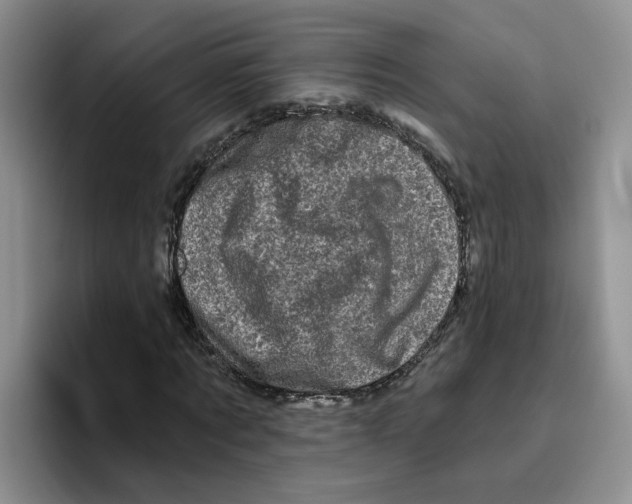 X0000096410869200802211223