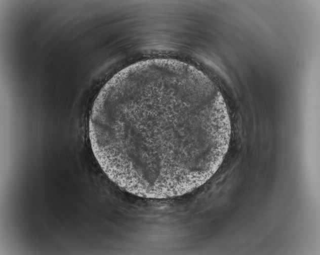 X0000096410870200802211223