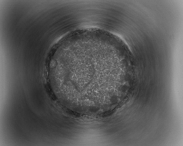 X0000096410871200802211223