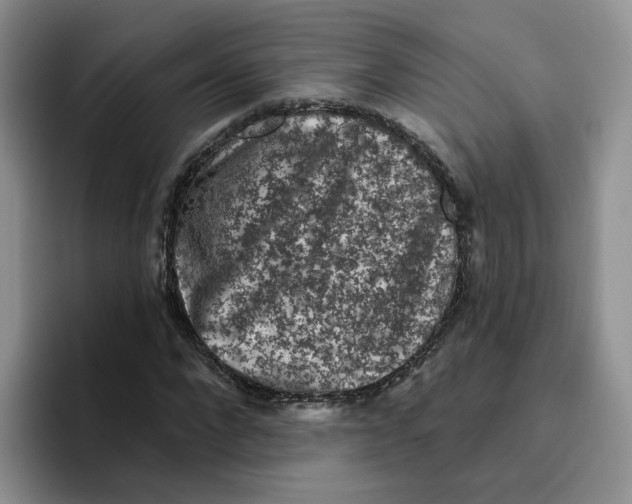 X0000096410872200802211223