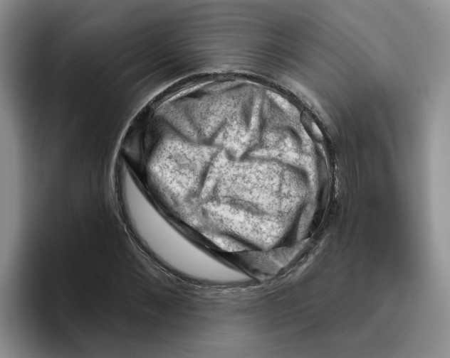 X0000096410876200802211223