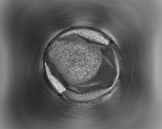X0000096410877200802211223