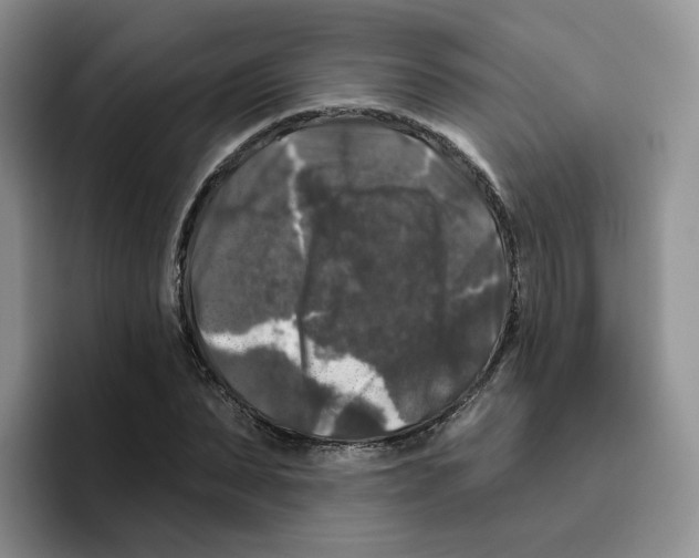 X0000096410879200802211223