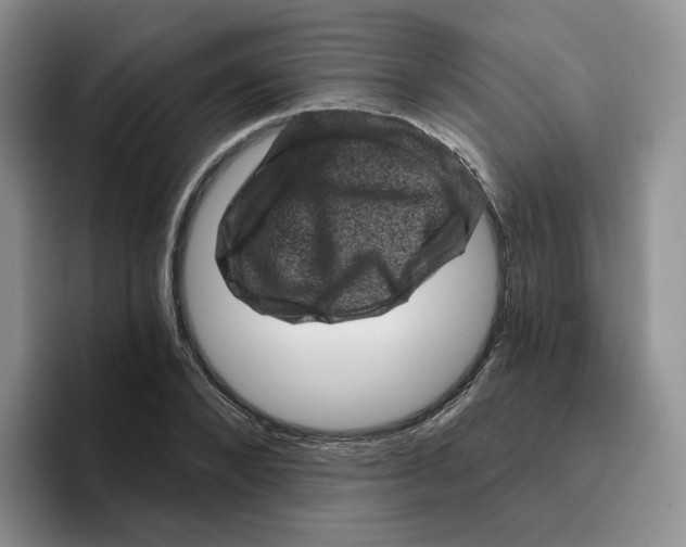 X0000096410880200802211223