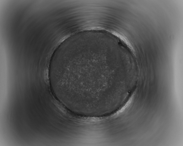 X0000096410881200802211223