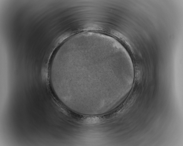 X0000096410882200802211223