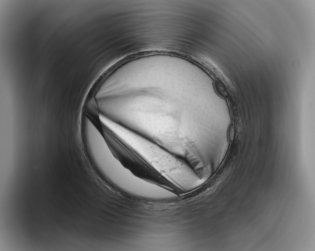 X0000096410884200802211223