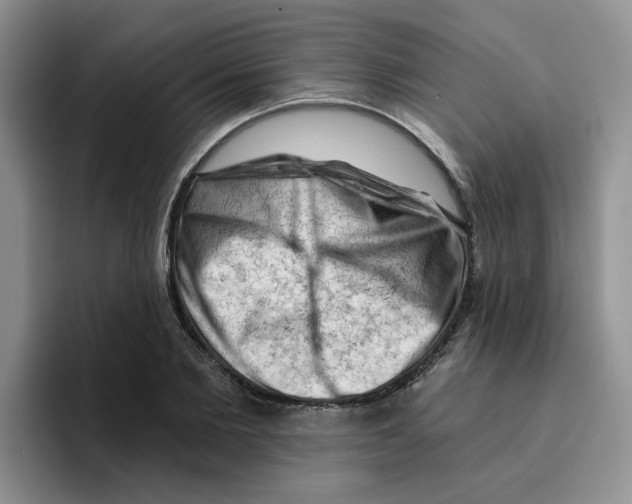 X0000096410885200802211223