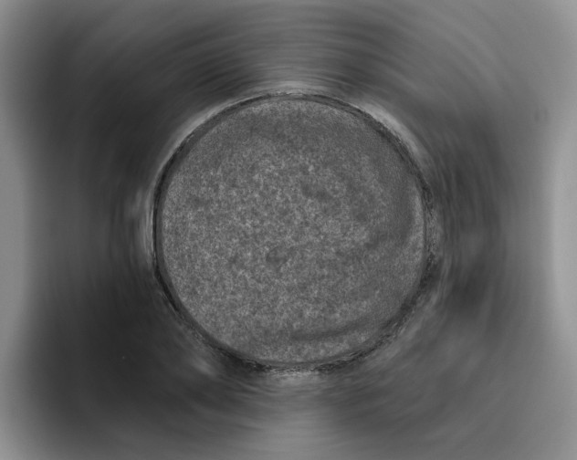 X0000096410886200802211223