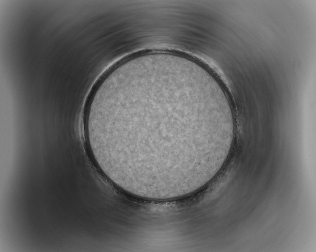 X0000096410887200802211223