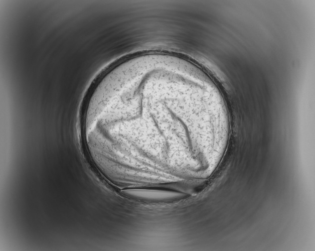 X0000096410888200802211223