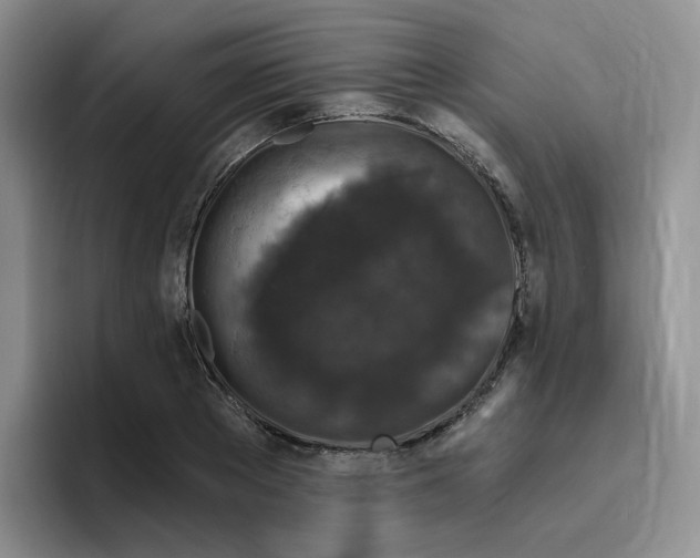 X0000096410889200802211223