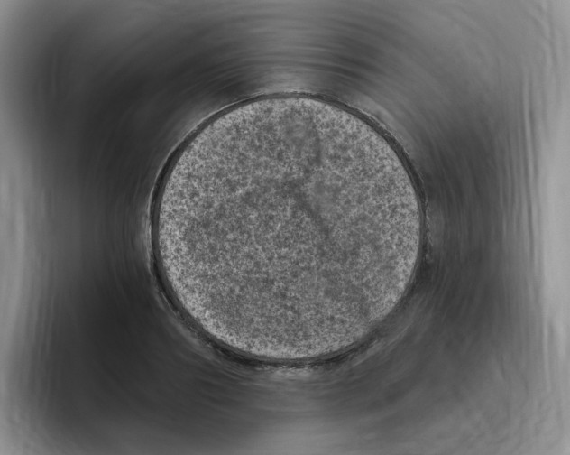 X0000096410890200802211223