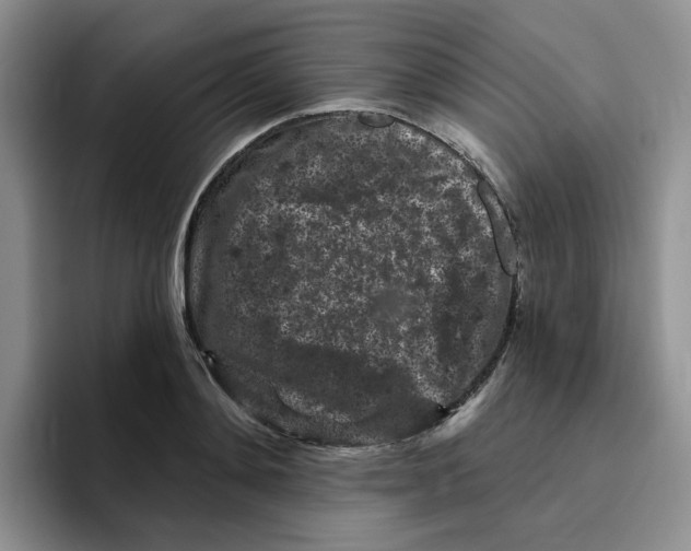 X0000096410892200802211223