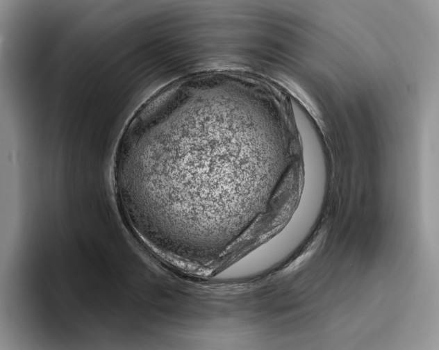 X0000096410893200802211223