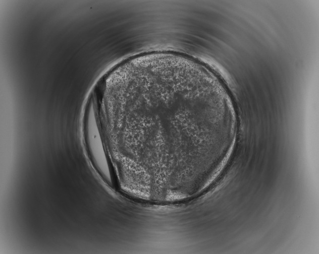X0000096410894200802211223