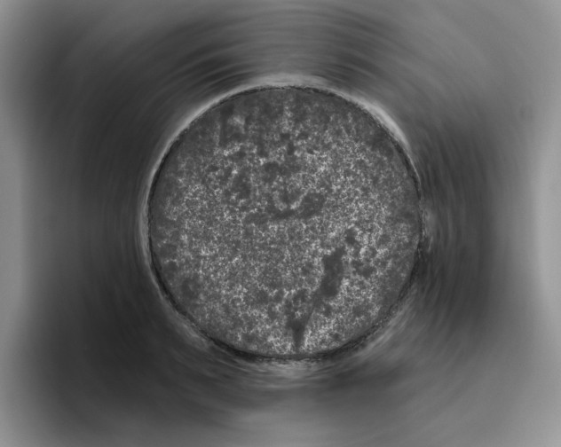X0000096410895200802211223