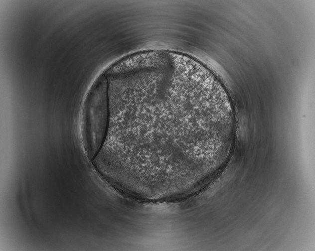 X0000096410896200802211223