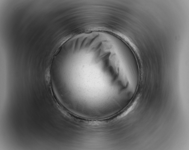 X0000096410897200802211223