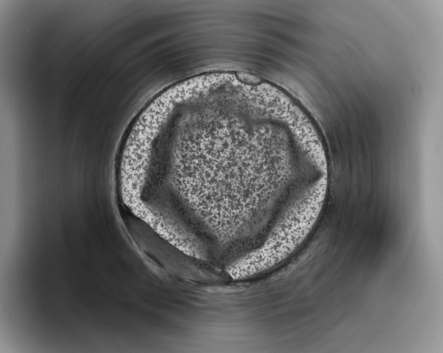 X0000096410898200802211223