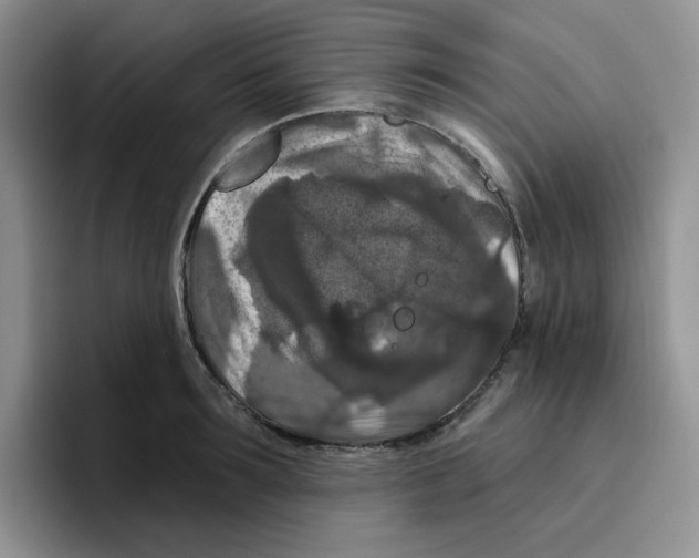 X0000096410899200802211223