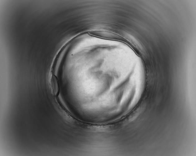 X0000096410900200802211223
