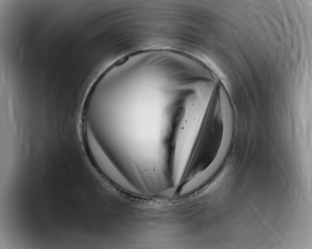 X0000096410901200802211223