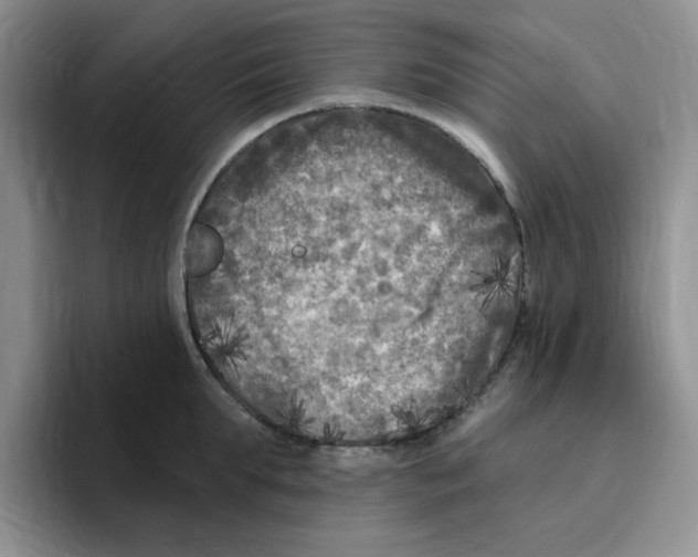X0000096410903200802211223