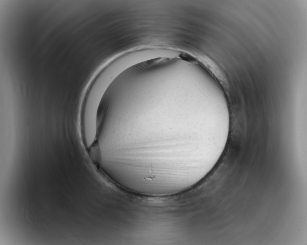 X0000096410904200802211222