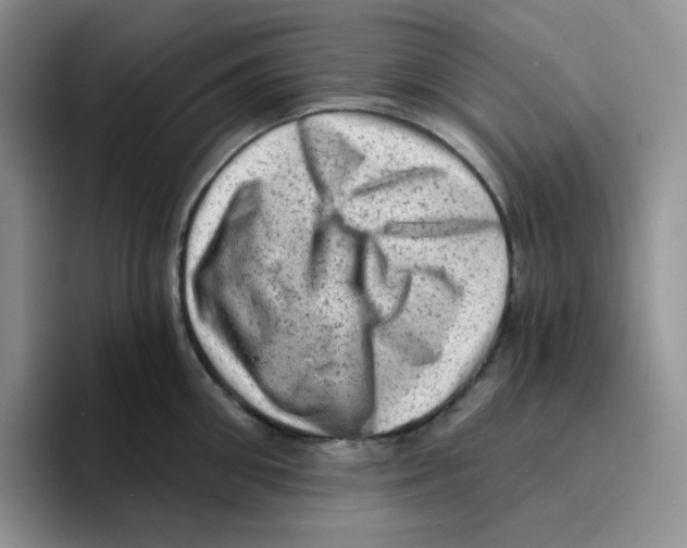 X0000096410906200802211222