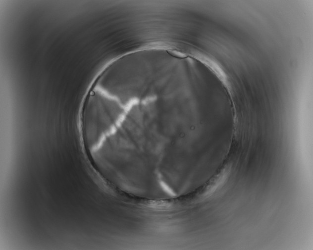 X0000096410907200802211222