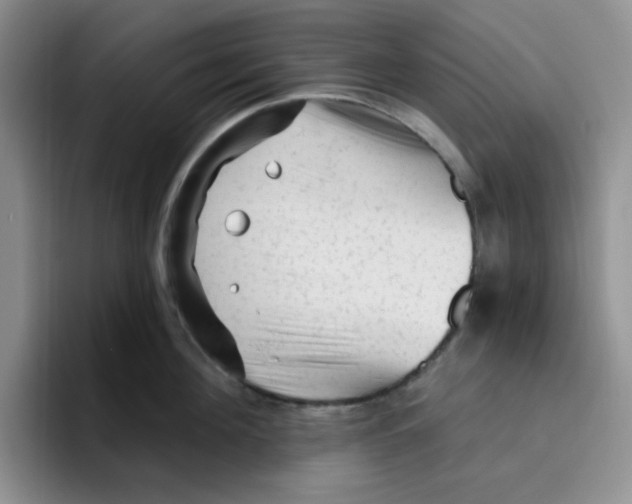 X0000096410908200802211222