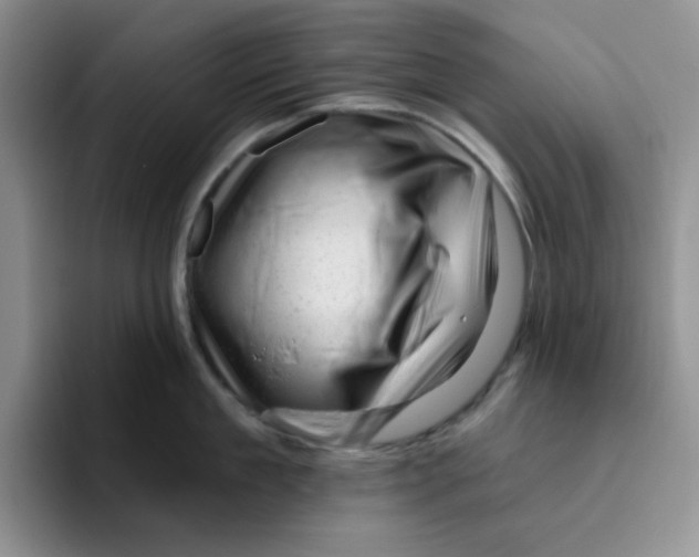X0000096410909200802211222