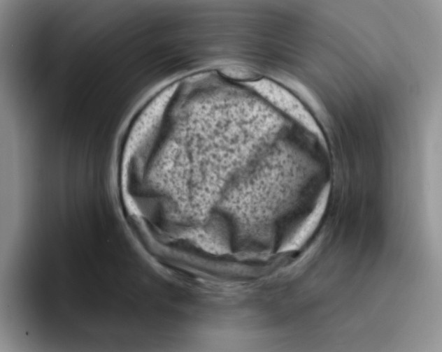 X0000096410910200802211222