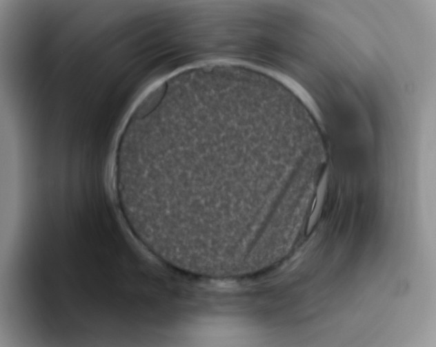 X0000096410911200802211222