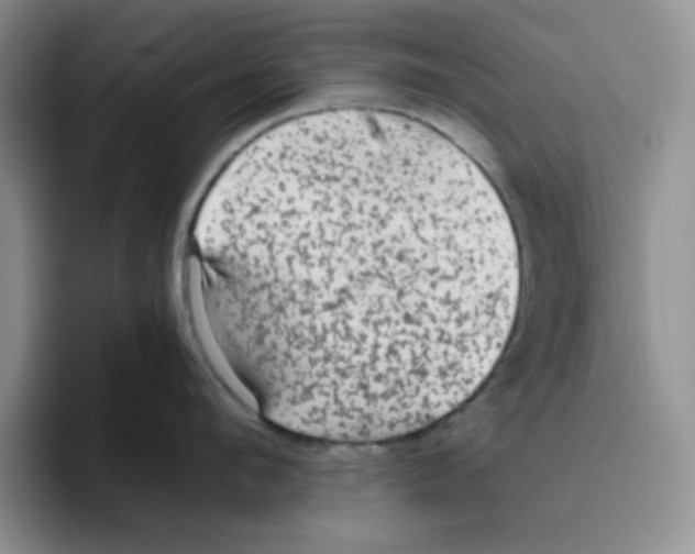 X0000096410912200802211222