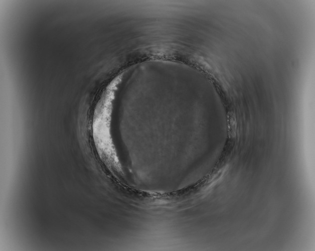 X0000096410913200802211222